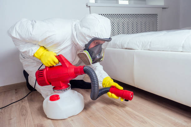 Best Insect Control  in Lmdale, PA