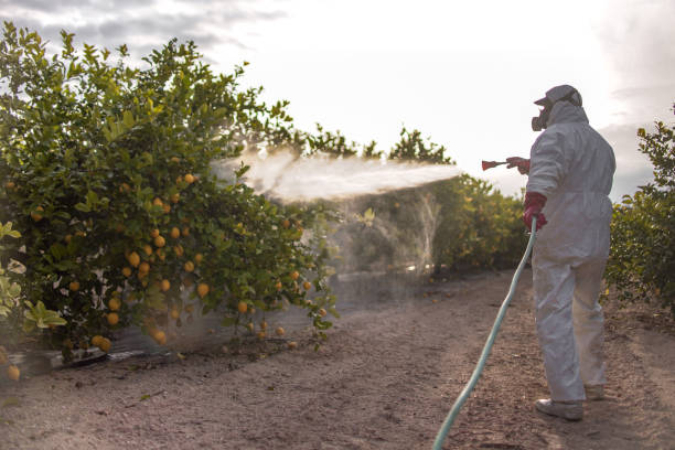Best Pest Control Cost  in Lmdale, PA