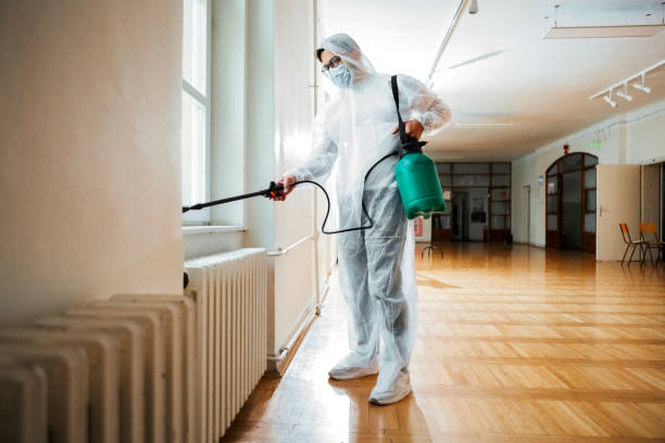 Best Termite Control Services  in Lmdale, PA