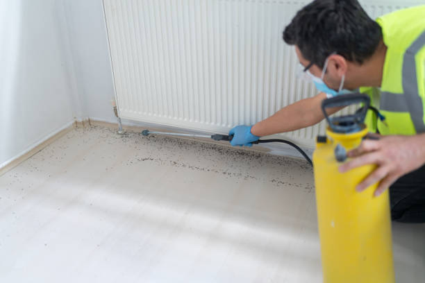 Best Bed Bug Extermination  in Lmdale, PA